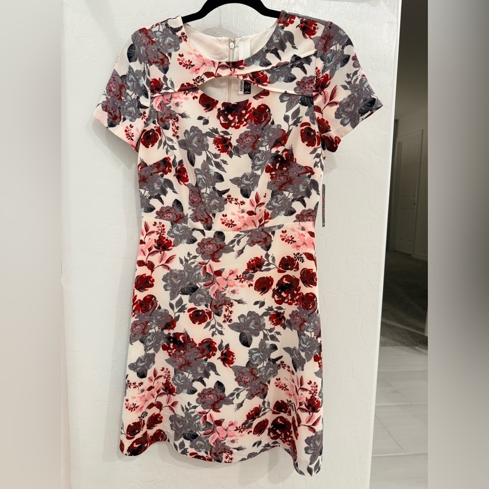 Kensie Red and Gray Floral Mini Dress